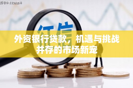 红安外资银行贷款，机遇与挑战并存的市场新宠