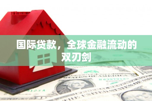 南阳国际贷款，全球金融流动的双刃剑
