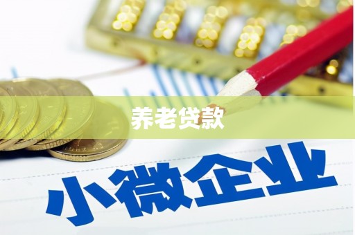 东台养老贷款