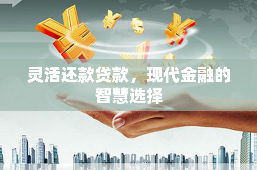惠山灵活还款贷款，现代金融的智慧选择