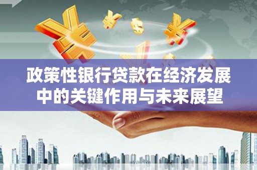 下城政策性银行贷款在经济发展中的关键作用与未来展望