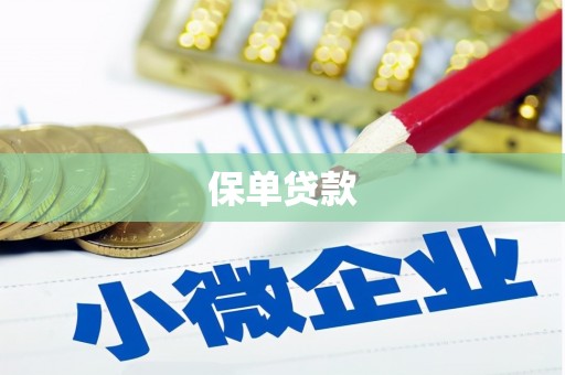 张湾保单贷款