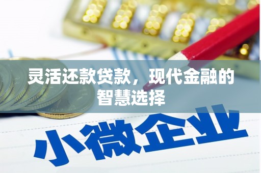 拉孜灵活还款贷款，现代金融的智慧选择