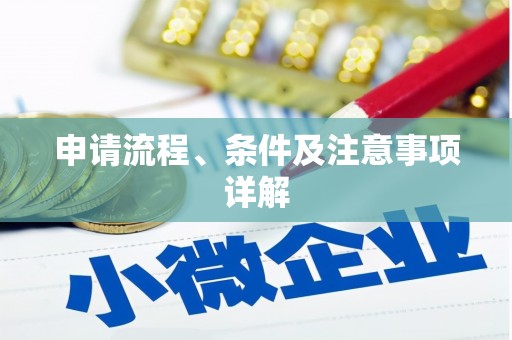 龙文申请流程、条件及注意事项详解