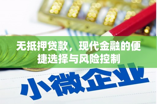 东明无抵押贷款，现代金融的便捷选择与风险控制