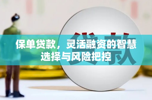 岢岚保单贷款，灵活融资的智慧选择与风险把控