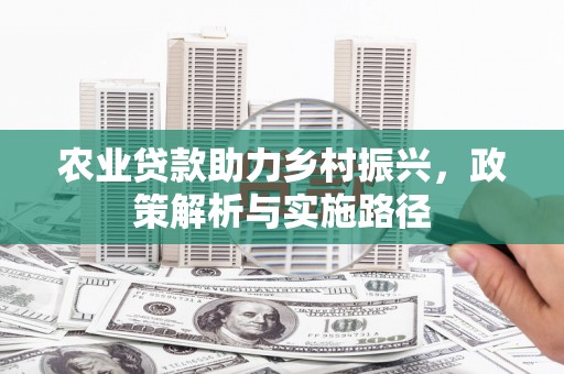 台南农业贷款助力乡村振兴，政策解析与实施路径