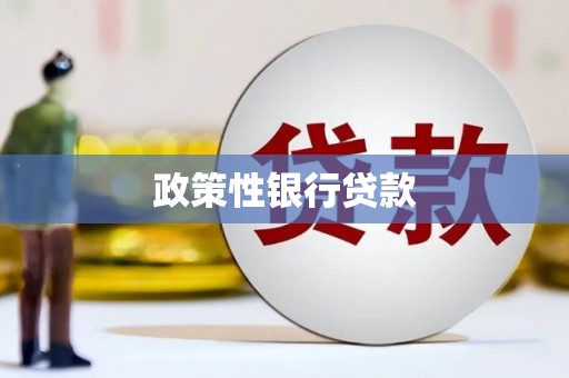 和田政策性银行贷款