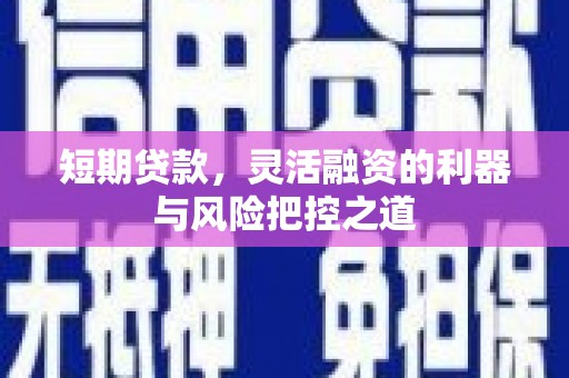 青阳短期贷款，灵活融资的利器与风险把控之道