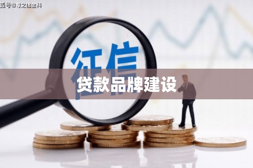 定远贷款品牌建设