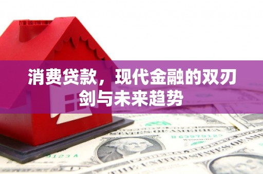 莱西消费贷款，现代金融的双刃剑与未来趋势