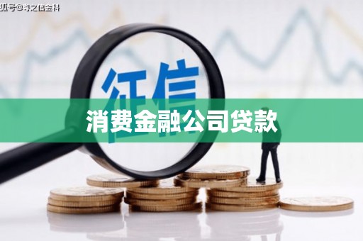 盐田消费金融公司贷款