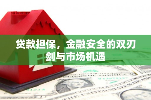 上林贷款担保，金融安全的双刃剑与市场机遇