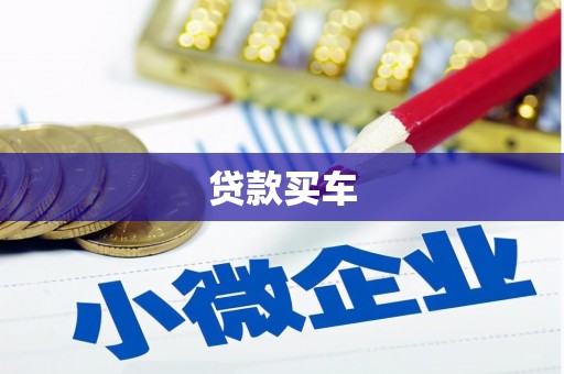 府谷贷款买车