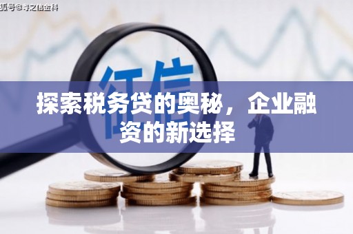 宜兰探索税务贷的奥秘，企业融资的新选择