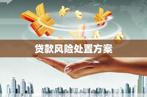台东贷款风险处置方案