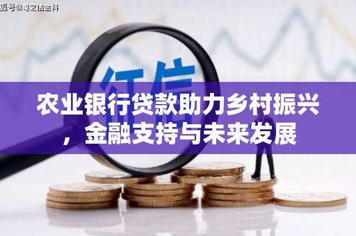 南丹农业银行贷款助力乡村振兴，金融支持与未来发展