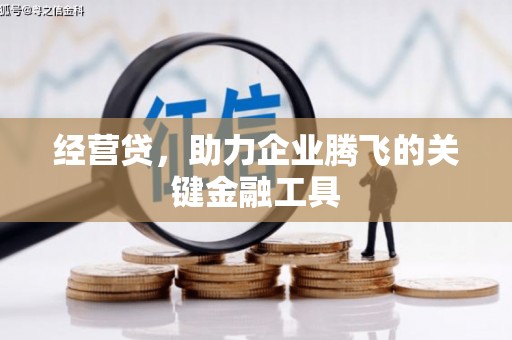 汝阳经营贷，助力企业腾飞的关键金融工具