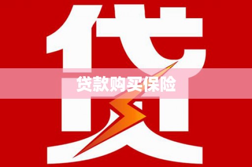 正阳贷款购买保险