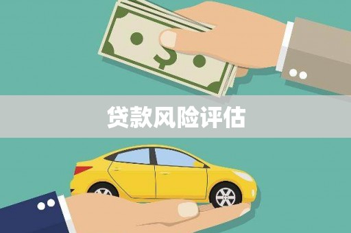 中正贷款风险评估
