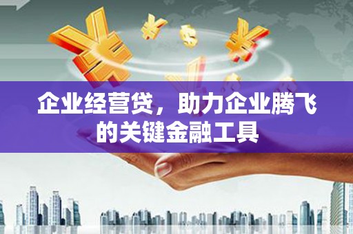顺河企业经营贷，助力企业腾飞的关键金融工具