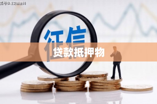 互助贷款抵押物