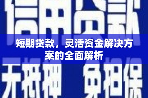 米东短期贷款，灵活资金解决方案的全面解析