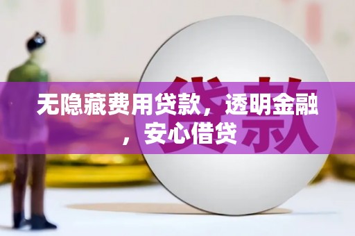 岱山无隐藏费用贷款，透明金融，安心借贷