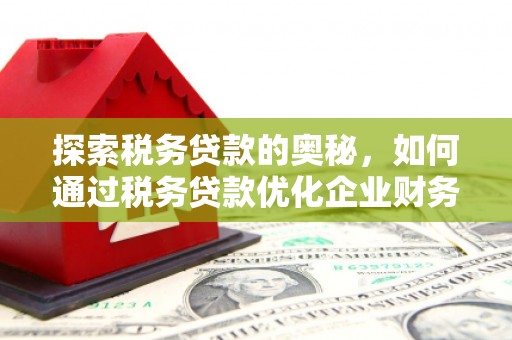 临渭探索税务贷款的奥秘，如何通过税务贷款优化企业财务