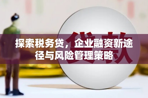 蕲春探索税务贷，企业融资新途径与风险管理策略