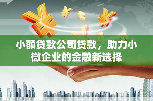 古县小额贷款公司贷款，助力小微企业的金融新选择