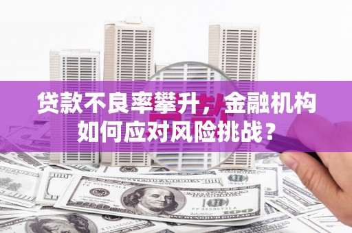 扶绥贷款不良率攀升，金融机构如何应对风险挑战？