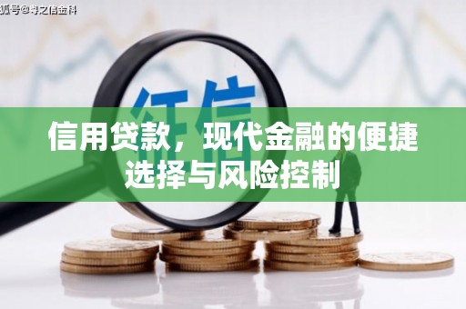 云龙信用贷款，现代金融的便捷选择与风险控制