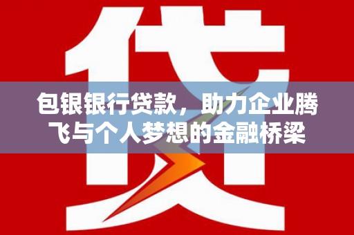 沙依巴克包银银行贷款，助力企业腾飞与个人梦想的金融桥梁
