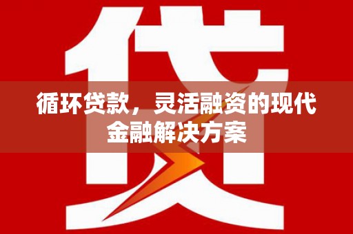 庐阳循环贷款，灵活融资的现代金融解决方案