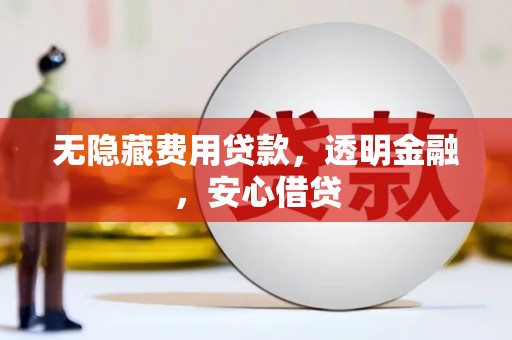 柳南无隐藏费用贷款，透明金融，安心借贷