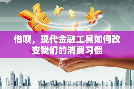 山上借呗，现代金融工具如何改变我们的消费习惯