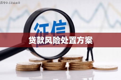 孟村贷款风险处置方案