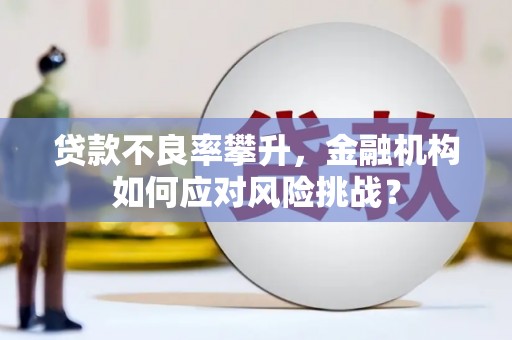 大冶贷款不良率攀升，金融机构如何应对风险挑战？