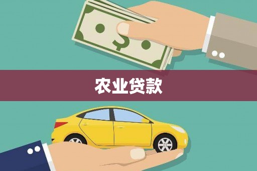 板芙农业贷款