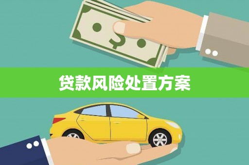 西青贷款风险处置方案