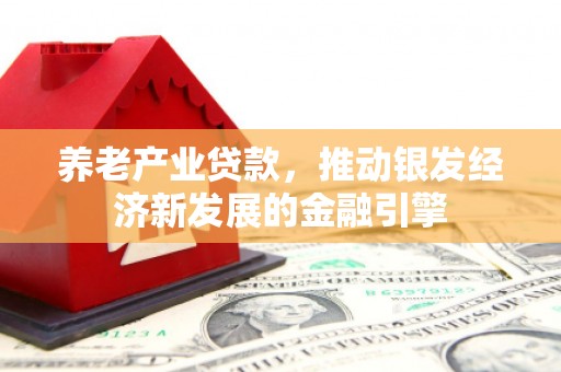 汕尾养老产业贷款，推动银发经济新发展的金融引擎