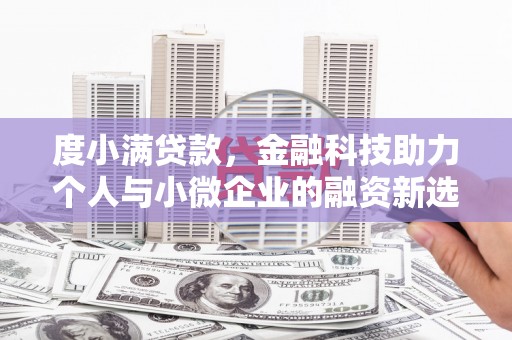 武川度小满贷款，金融科技助力个人与小微企业的融资新选择