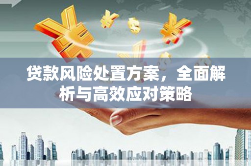 信阳贷款风险处置方案，全面解析与高效应对策略