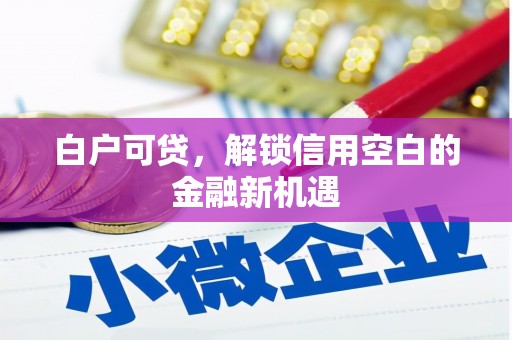 桐庐白户可贷，解锁信用空白的金融新机遇