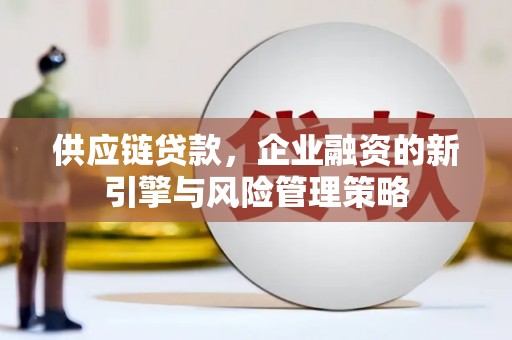 港口供应链贷款，企业融资的新引擎与风险管理策略