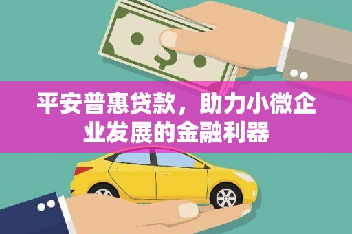 勐海平安普惠贷款，助力小微企业发展的金融利器