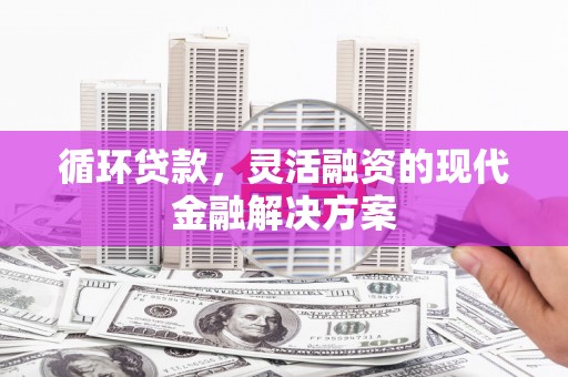 遂昌循环贷款，灵活融资的现代金融解决方案