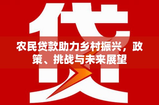 岢岚农民贷款助力乡村振兴，政策、挑战与未来展望