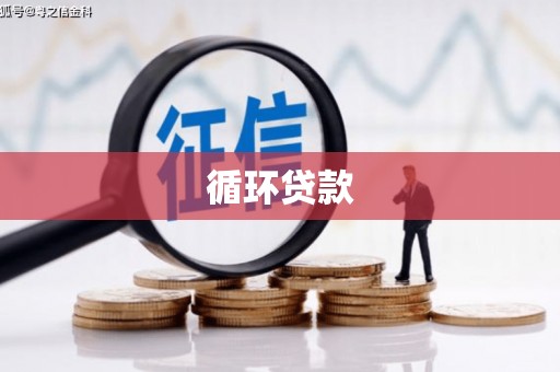 靖西循环贷款